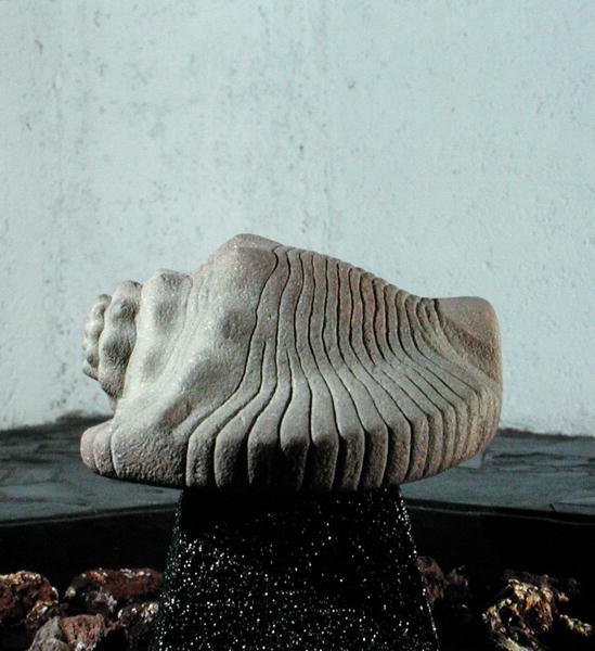 Sea Snail Shell, cca 1500 (viz také 198376 & 207560) od Aztec