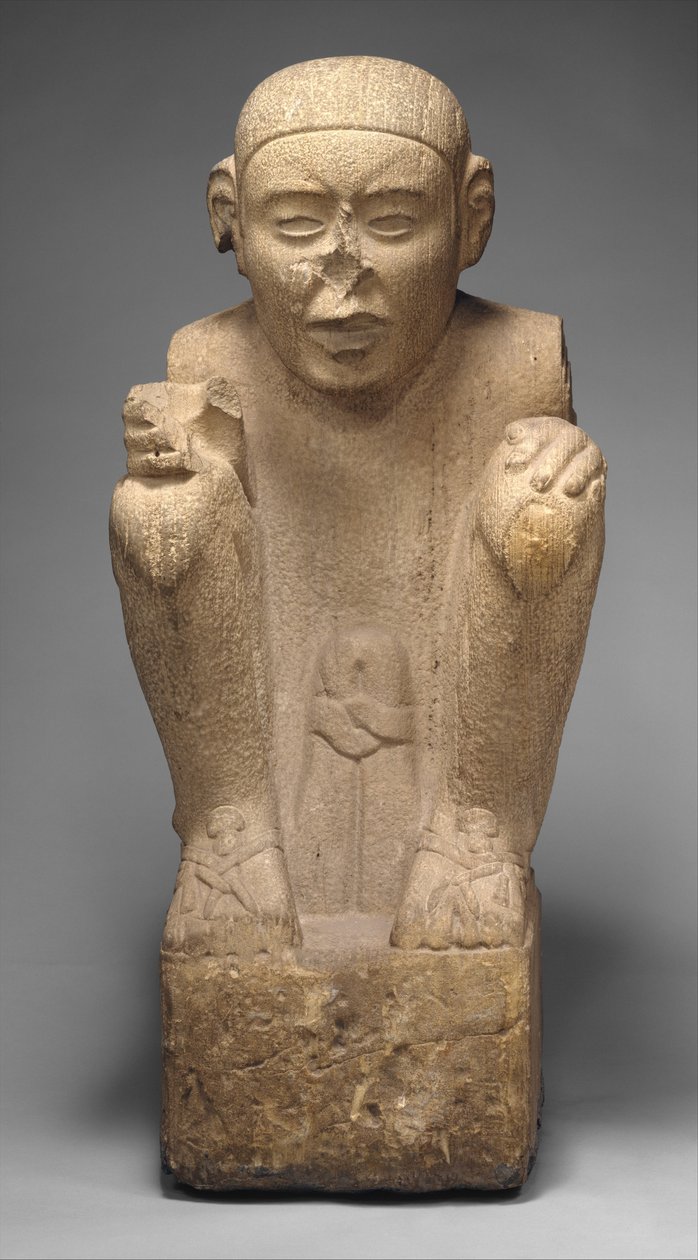 Standardní nosič od Aztec
