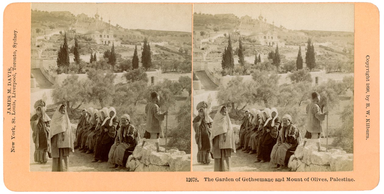 Getsemanská zahrada a Olivetská hora, Palestina, 1898. od B. W. Kilburn