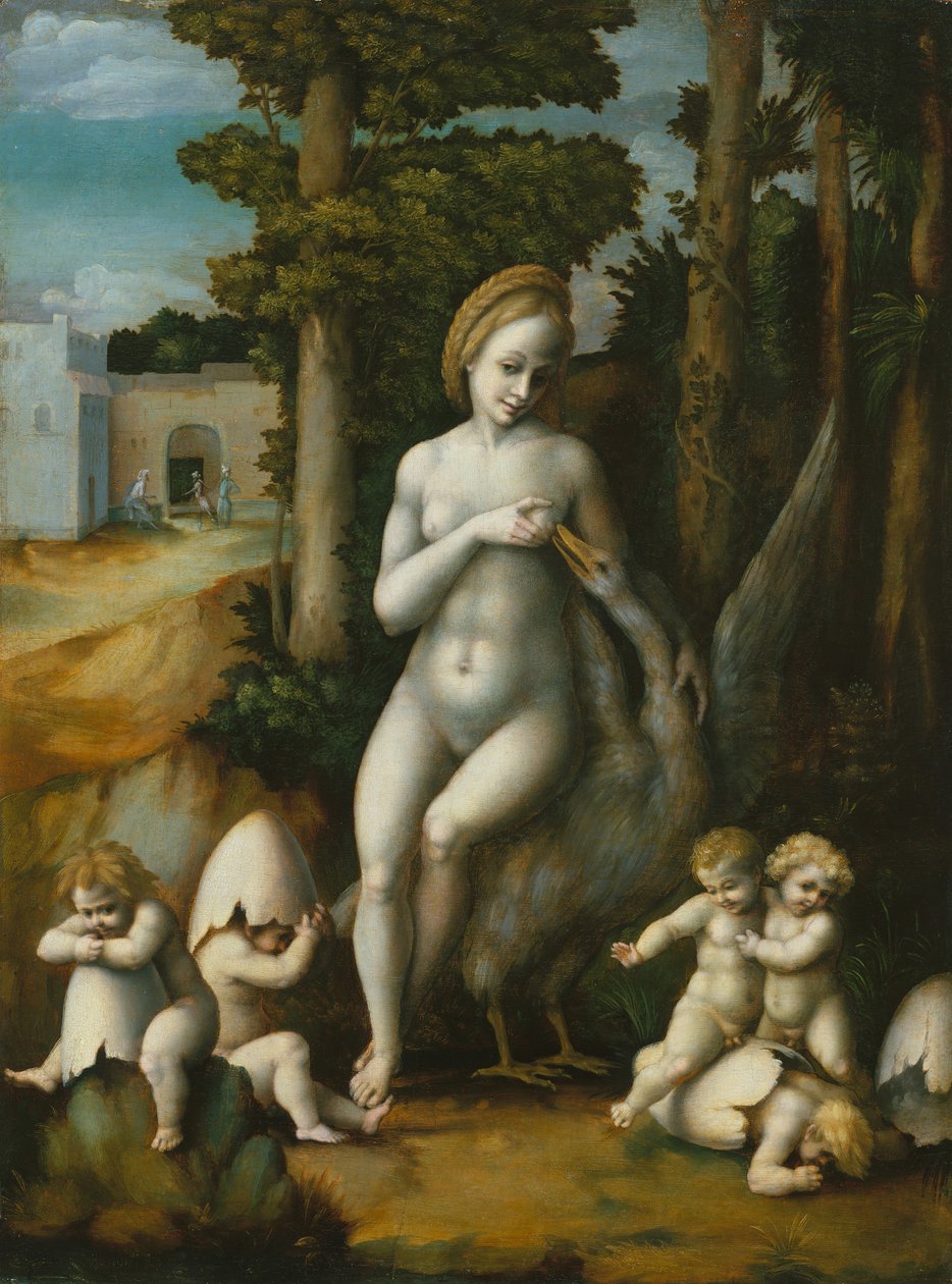 Leda a labuť. od Bacchiacca