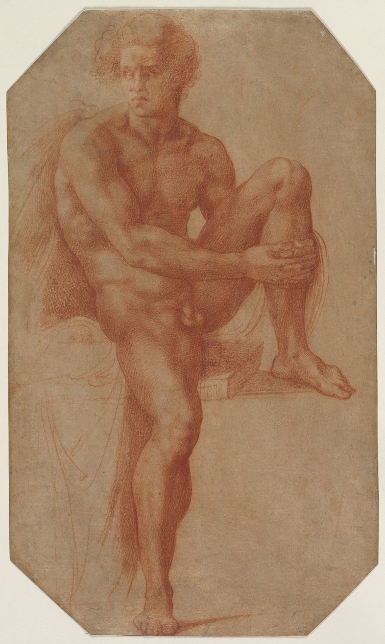 Sedící mužský akt, c. 1516-1520. od Baccio Bandinelli