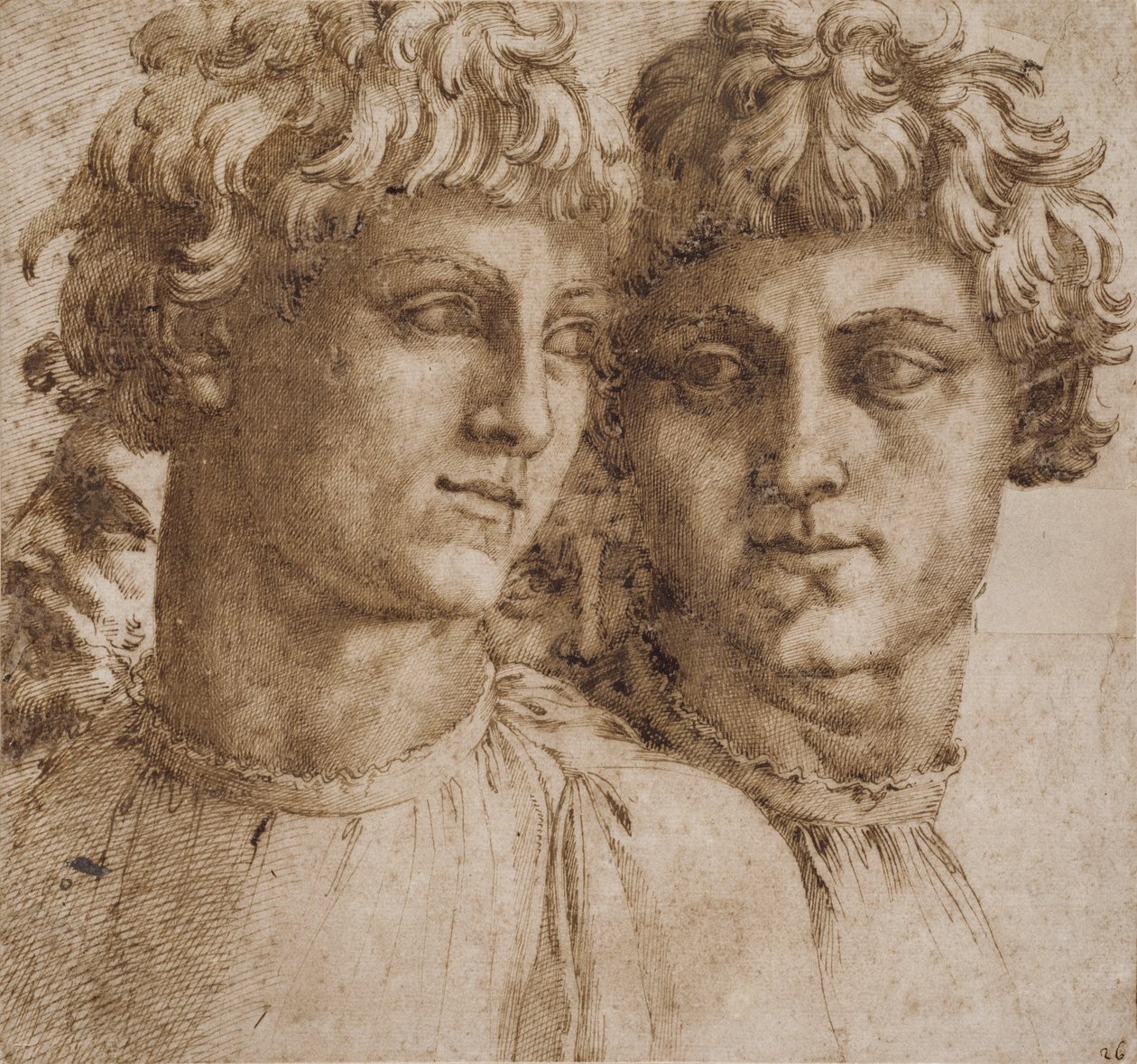 Dvě studie hlavy mládeže, c.1550 od Baccio Bandinelli