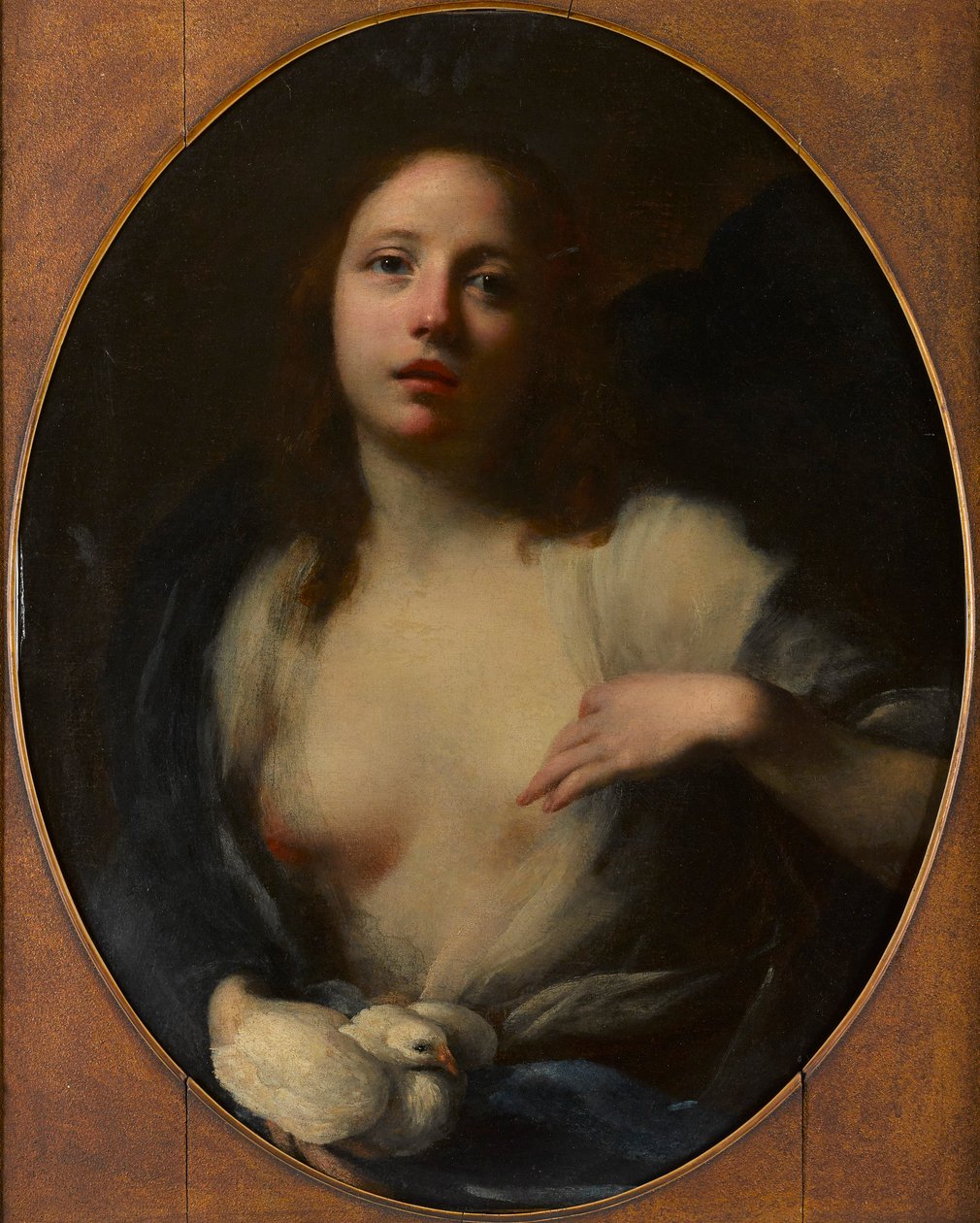 Obraz mladé dívky s bílou holubicí (olej na plátně) od Baldassare (1611 89) Franceschini