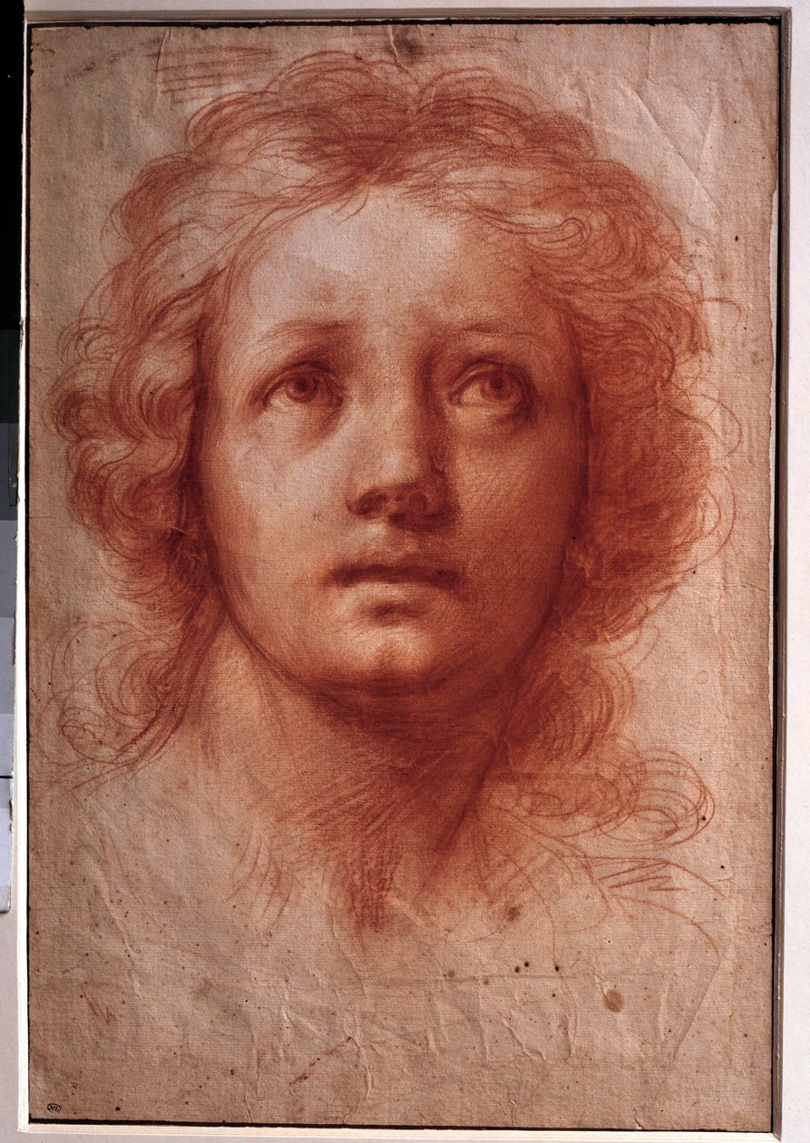 Studie ženské hlavy, upřený pohled se obrací vzhůru Kresba tuší a lazurou Franceschini Baldassare dit il Volterrano (1611-1689). 17. století. Ztlumit. 0,42x0,28m. Paříž, muzeum Louvre od Baldassare  Franceschini