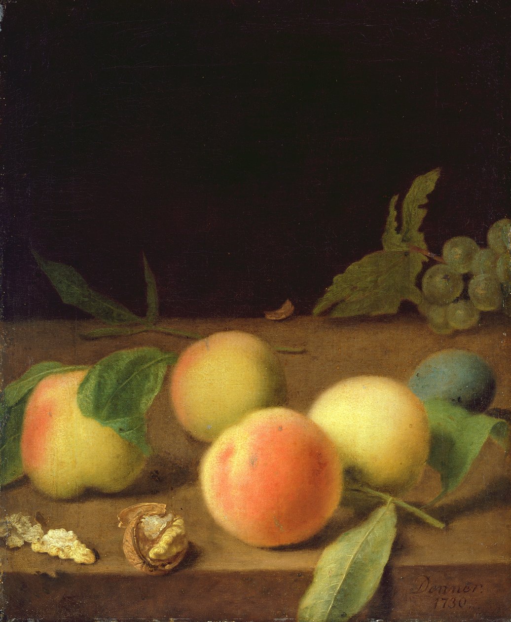 Ovocné zátiší, 1730 od Balthasar Denner