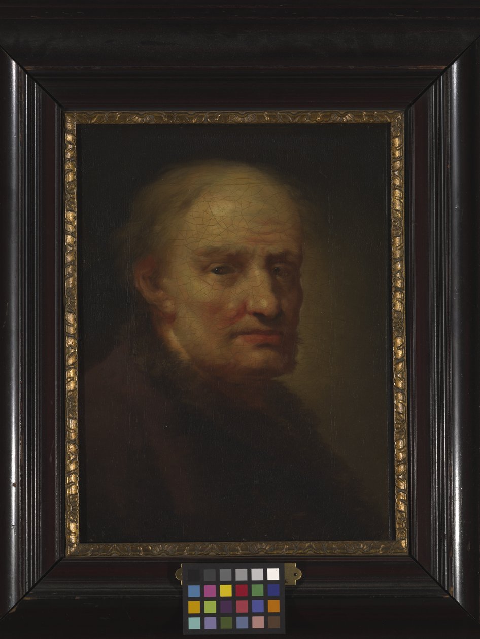 Hlava starého muže (olej na dřevě) od Balthasar Denner