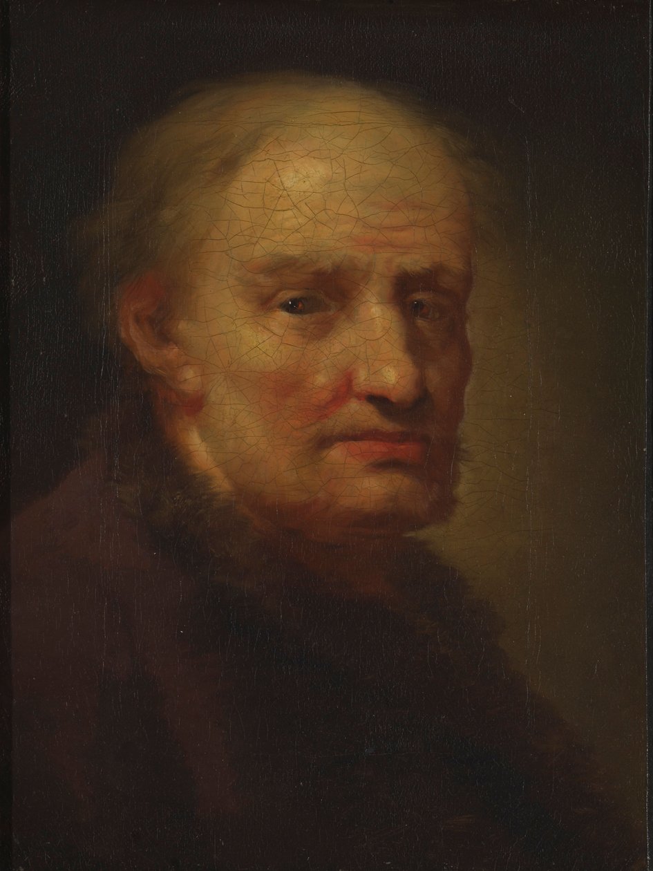 Hlava starého muže od Balthasar Denner