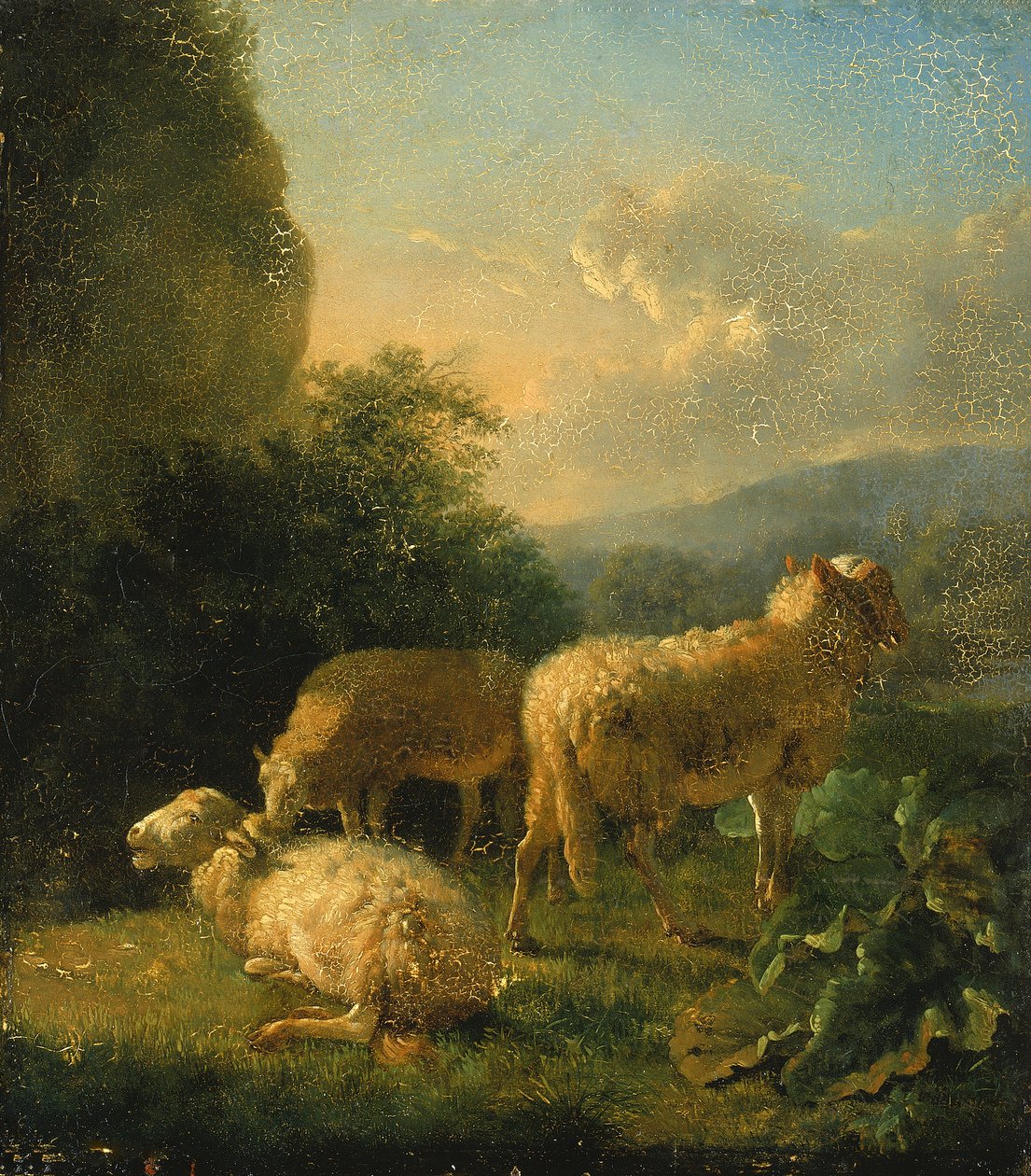 Ovce, konec 18.-začátek 19. století. od Balthasar Paul Ommeganck