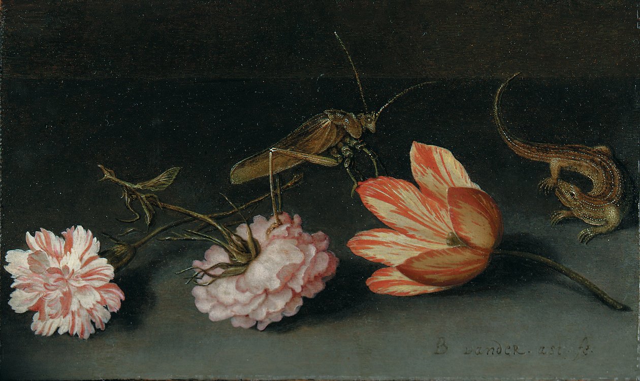 Karafiáty, papoušek tulipán, kobylka a ještěrka na římse od Balthasar van der Ast