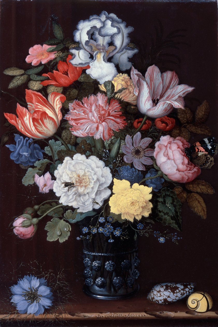 Květinové zátiší s mušlemi od Balthasar van der Ast