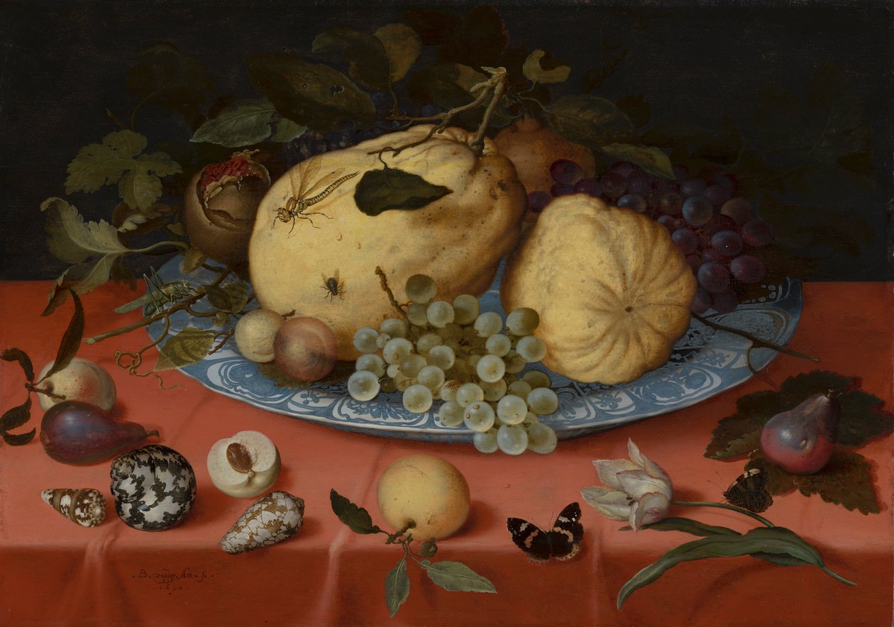 Ovocné zátiší s mušlemi a tulipánem od Balthasar van der Ast