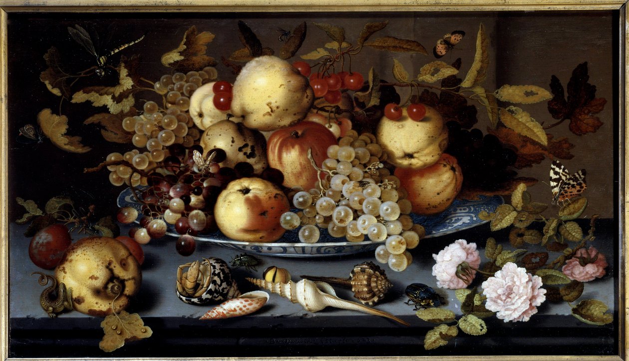Zátiší z ovoce, květin, mušlí a hmyzu. Obraz Balthasara Van Der Asta (1590-1656) Ec. Hol od Balthasar van der Ast