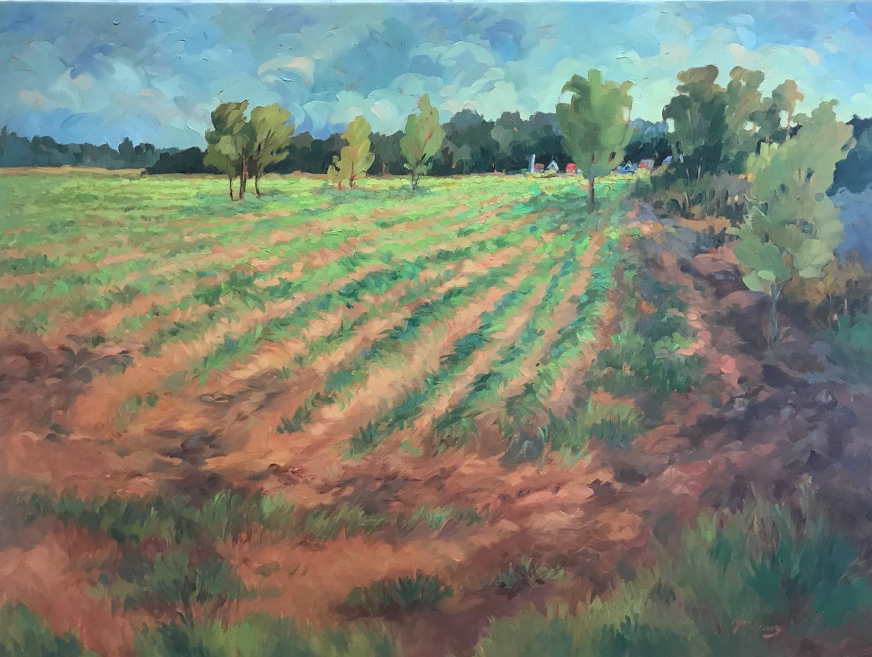 Časné ráno, asi 1980-2000 (olej na plátně) od Barbara Cleary