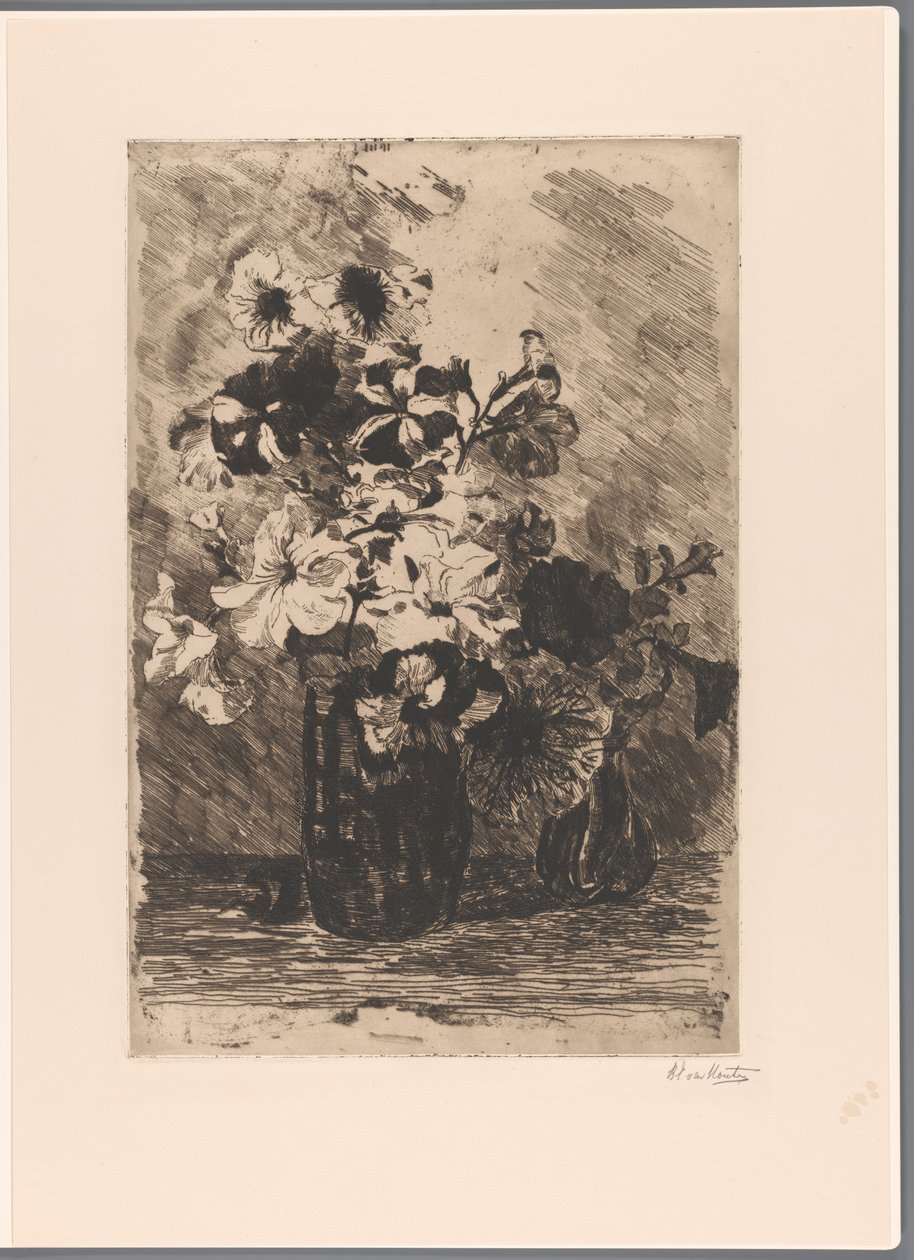 Petúnie ve dvou vázách od Barbara Elisabeth van Houten (signed by artist)