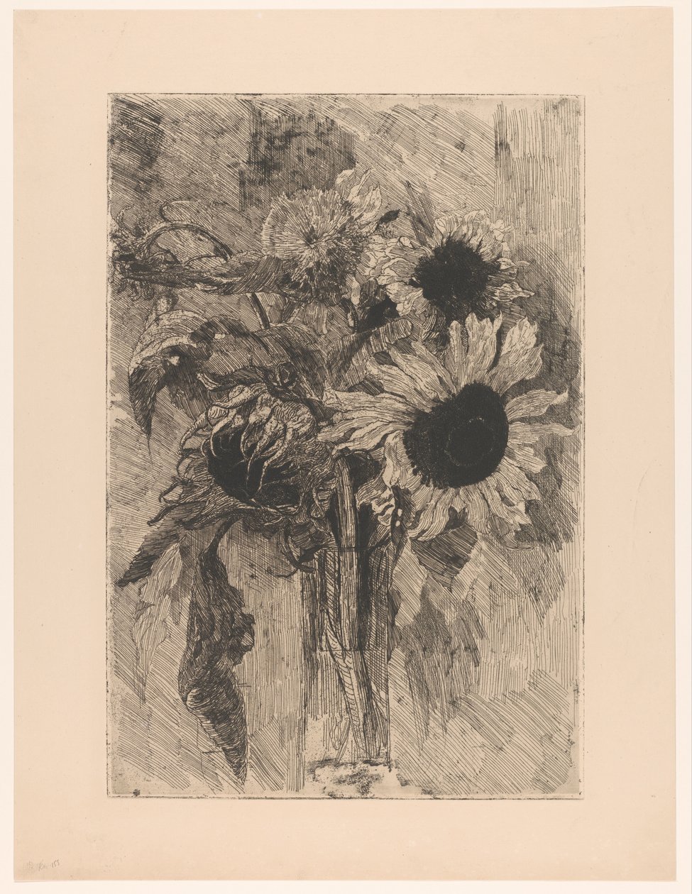 Slunečnice ve váze od Barbara Elisabeth van Houten (signed by artist)