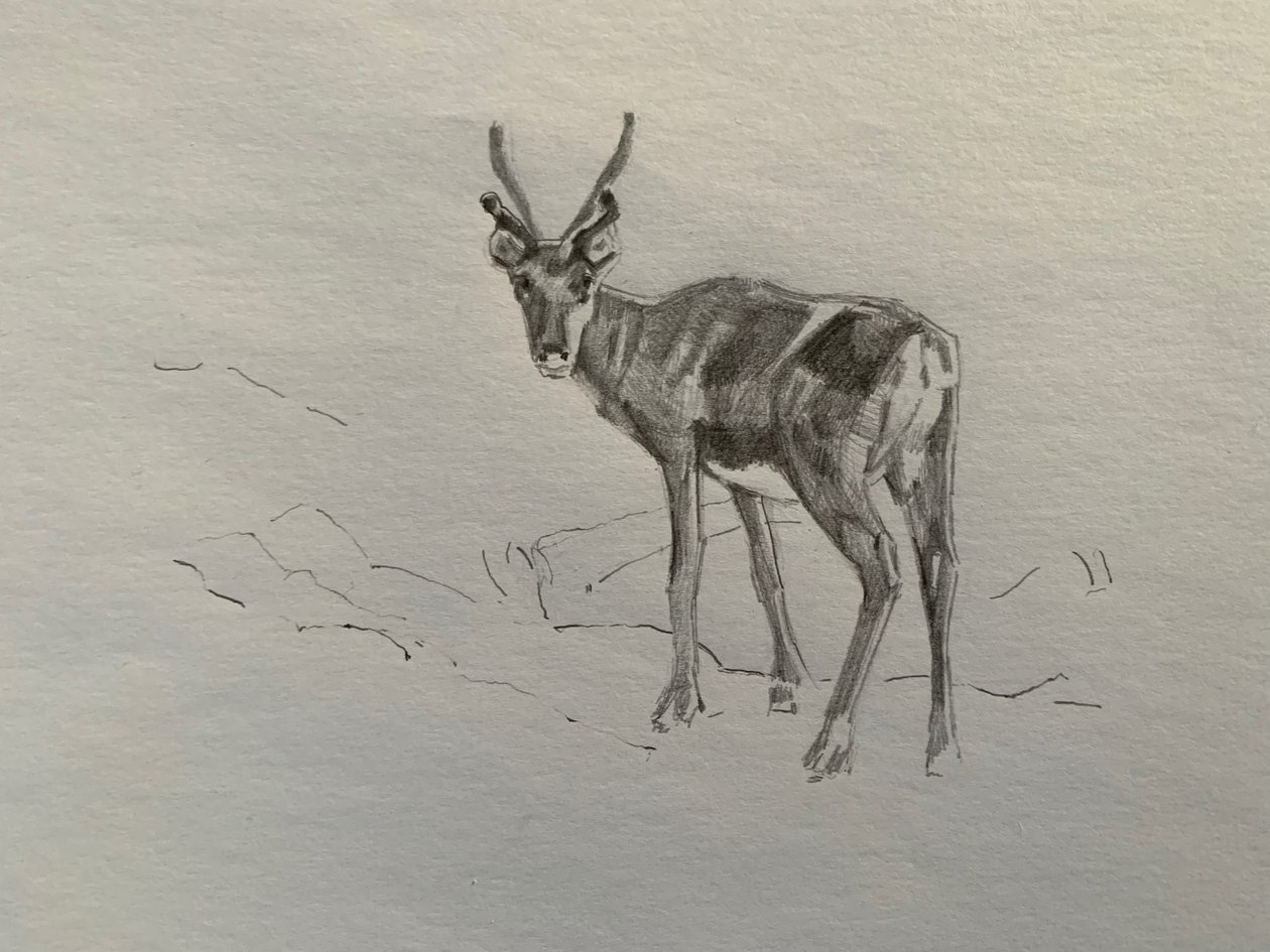 Sob, 2019 od Barbara Hoogeweegen
