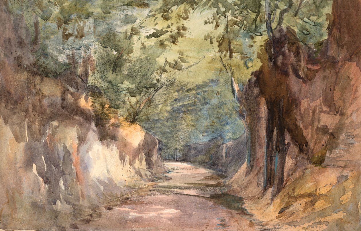 Vchod do Scalands Gate (akvarel a grafit na tkaném papíře) od Barbara Leigh Smith Bodichon