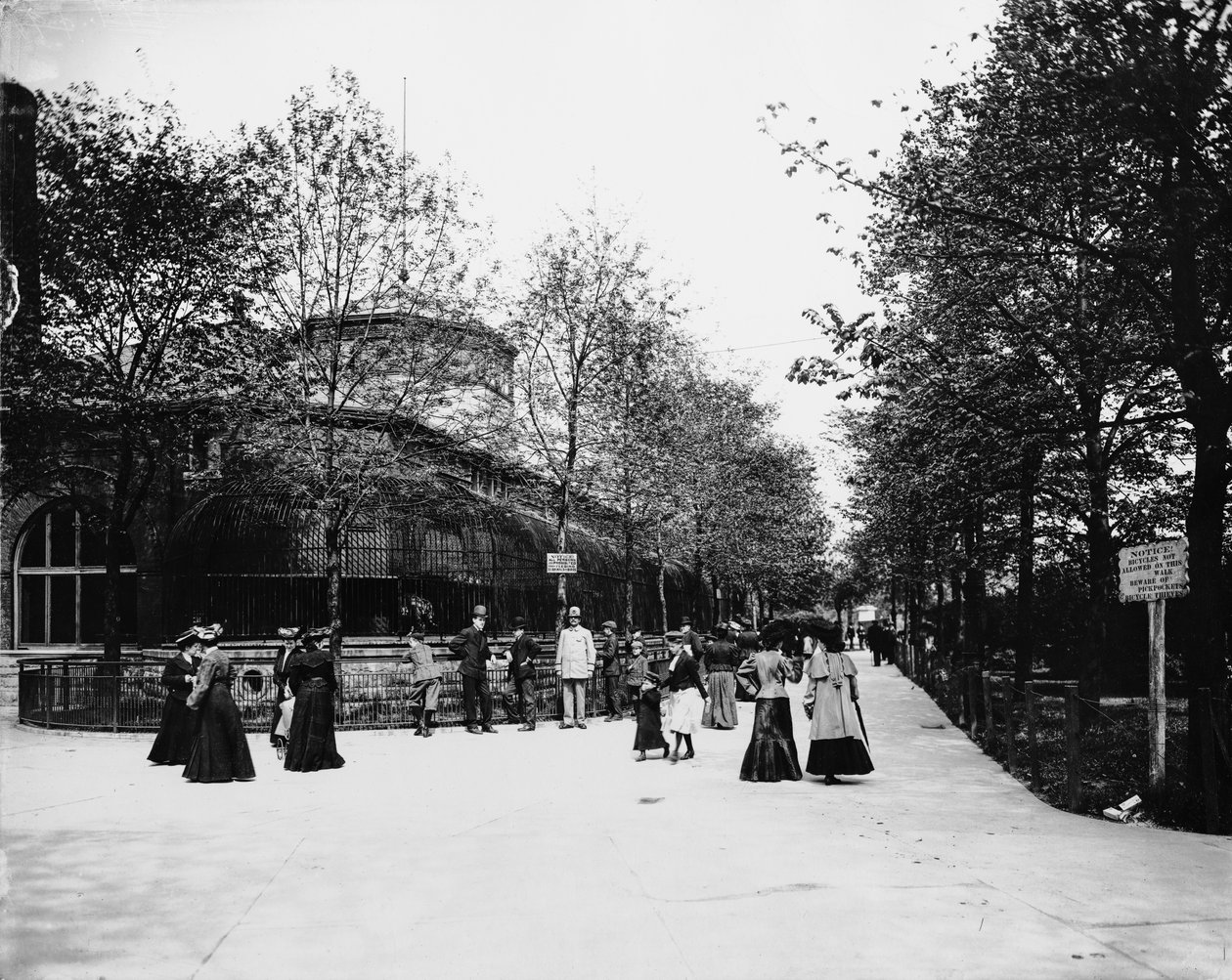 Lincoln Park Zoo., Chicago, Illinois, USA, cca 1900 (č/b foto) od Barnes and Crosby