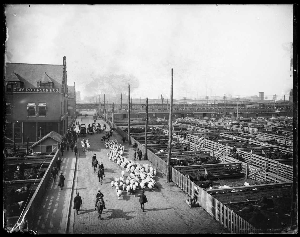 Union Stock Yards., Chicago, Illinois, USA, cca 1910 (černobílá fotografie) od Barnes and Crosby