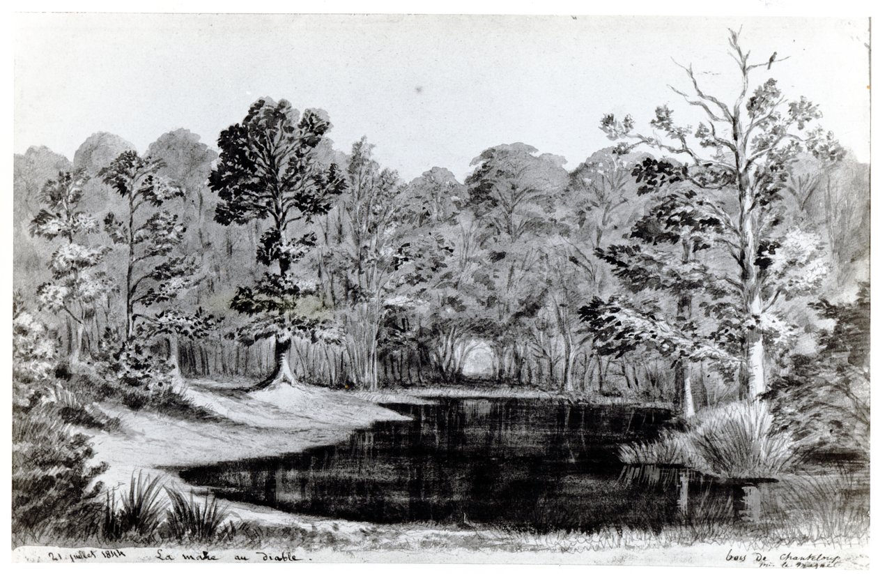 Ďáblův bazén v Bois de Chanteloup, 1844 od Maurice Sand
