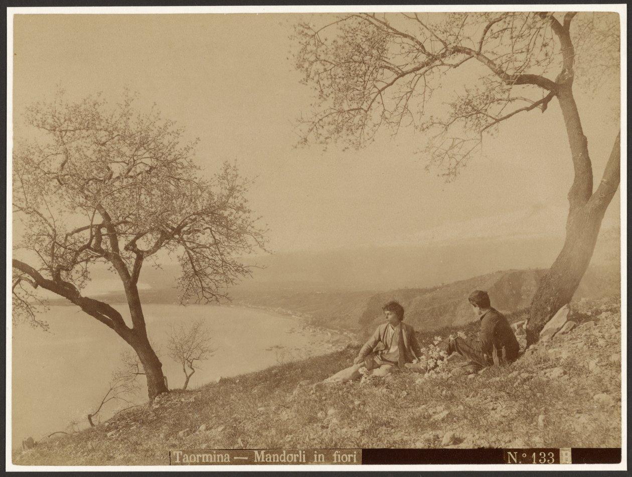 Kvetoucí mandle, Taormina od Baron Wilhelm von Gloeden
