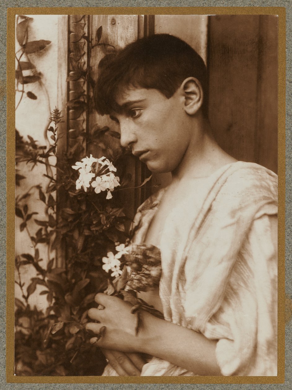 Sicilský chlapec od Baron Wilhelm von Gloeden