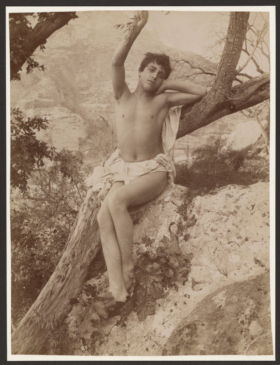 [Mladík na stromě se zvednutou rukou] od Baron Wilhelm von Gloeden