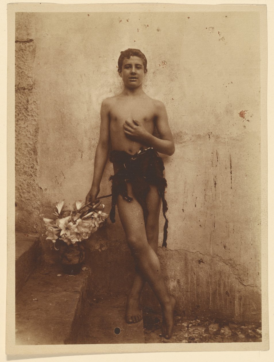 [Mládež s liliemi] od Baron Wilhelm von Gloeden