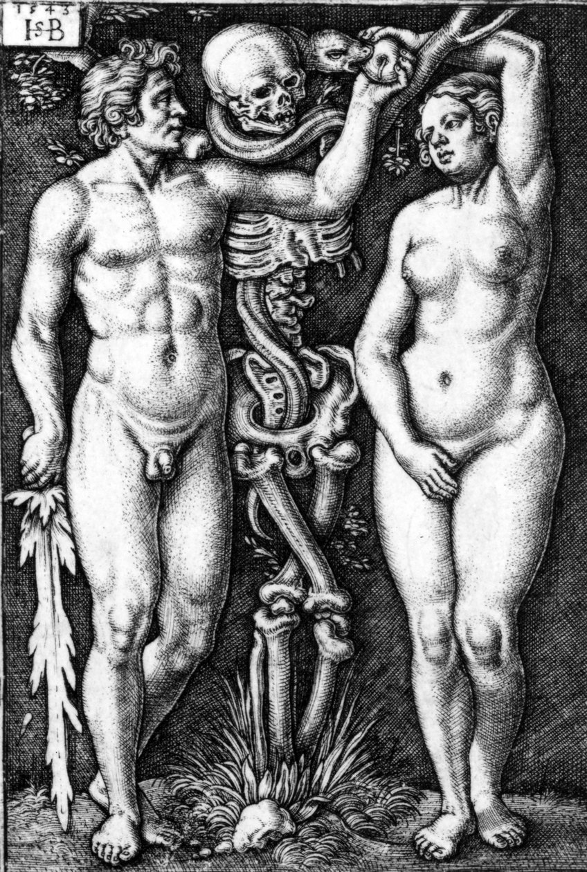 Adam a Eva, vyryl Hans Sebald Beham, 1543 od Barthel Beham
