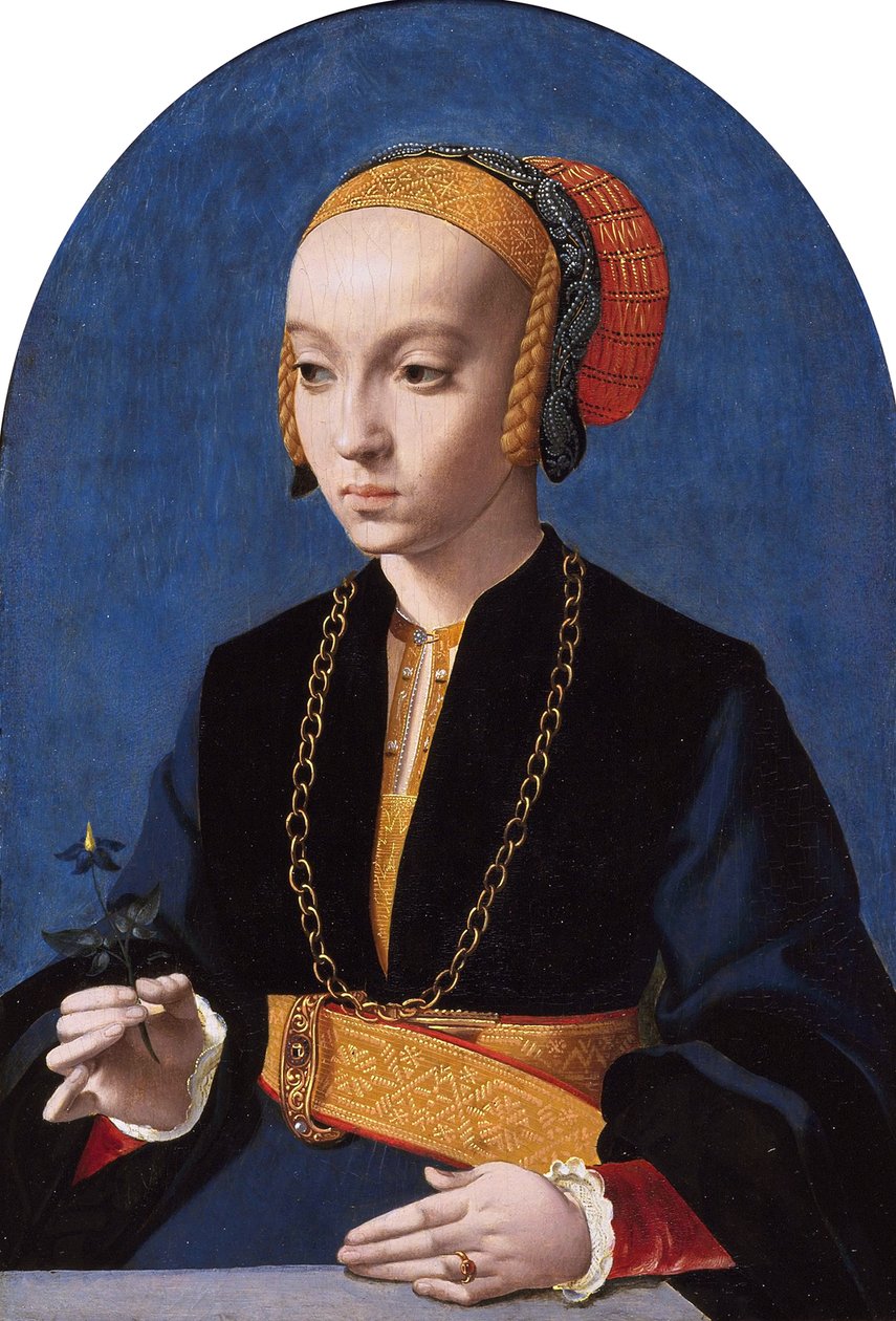 Portrét Alžběty Bellinghausenové (asi 1520- gt; 1570) od Bartholomaeus Bruyn the Elder