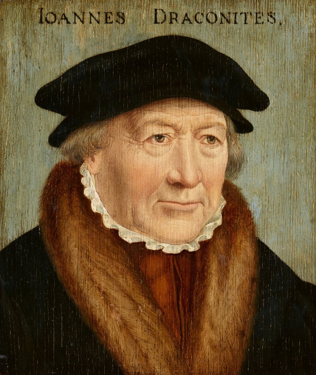 Portrét Johannese Draconita od Bartholomaeus Bruyn the Elder