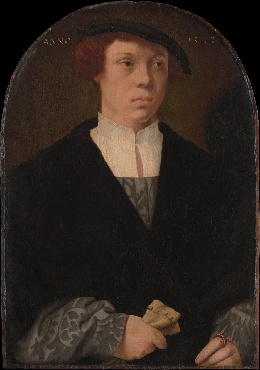 Portrét muže, 1533. od Bartholomaeus Bruyn the Elder