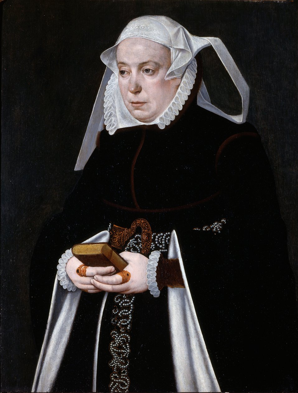 Portrét ženy, asi 1560-70 (olej na desce) od Bartholomaus the Younger Bruyn
