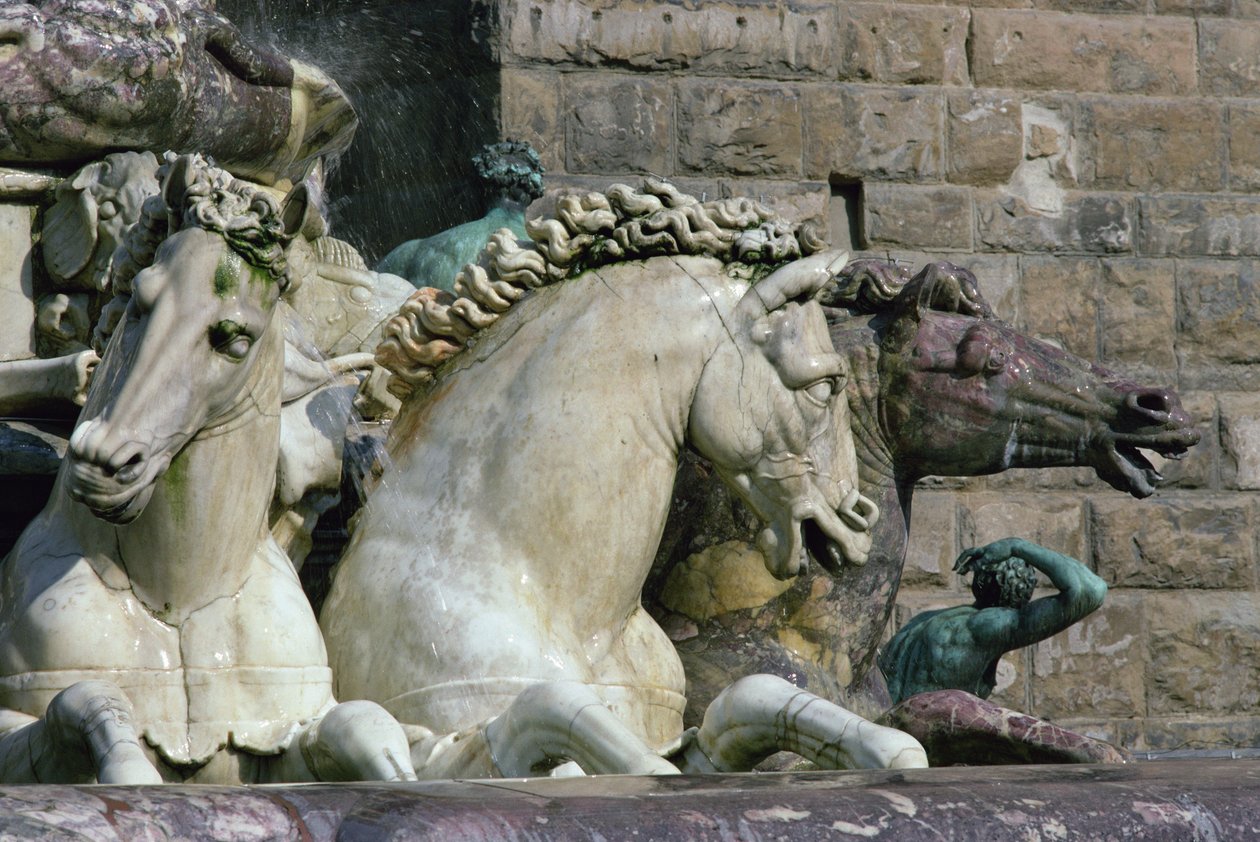Detail z Neptunovy fontány, zobrazující dva mořské koně, 1560-75 (mramor) (viz 134581-134587) od Bartolomeo Ammannati