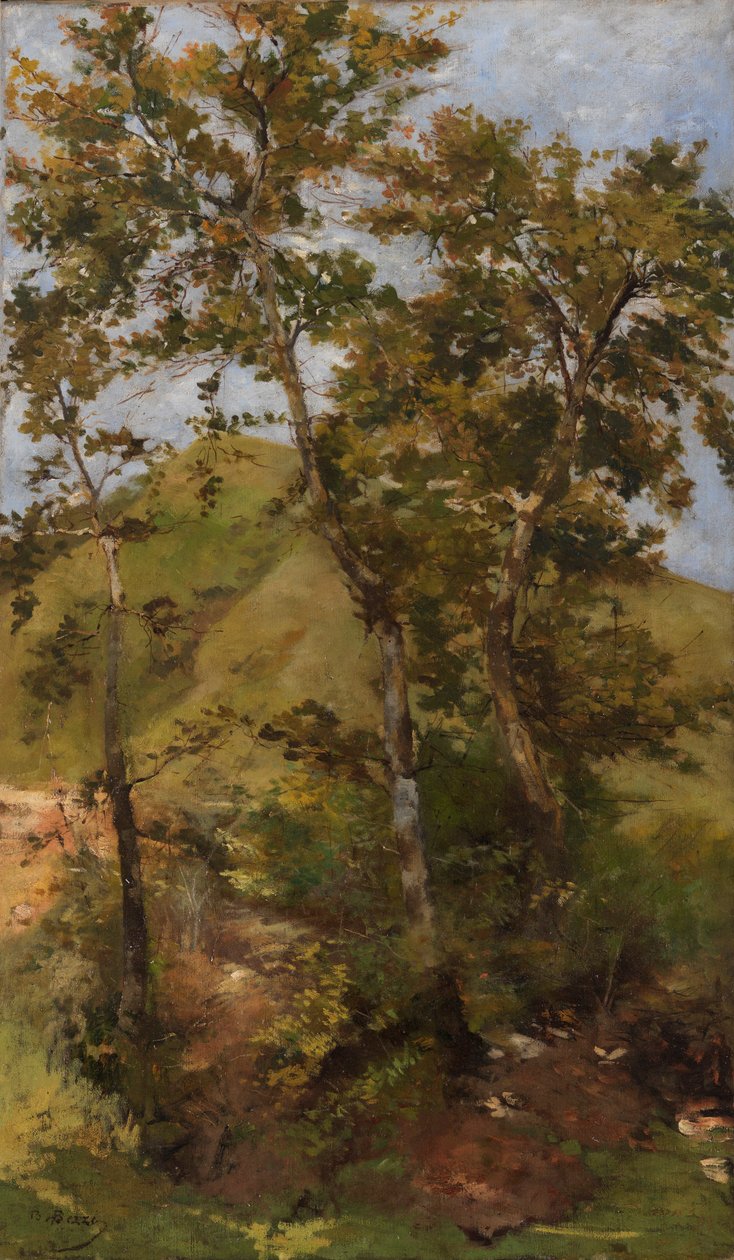 Brook Brook od Bartolomeo Bezzi
