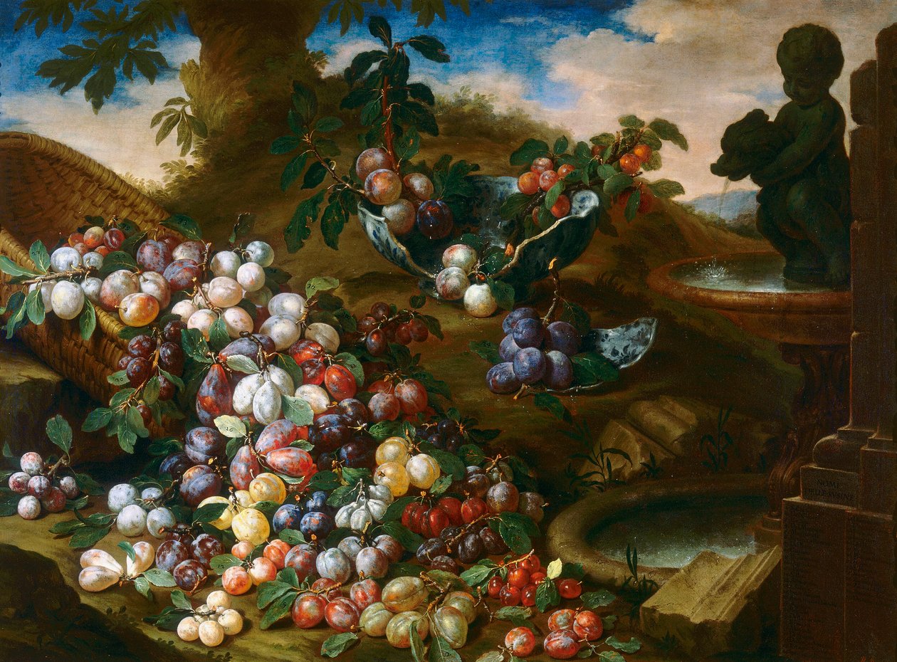 švestky od Bartolomeo Bimbi