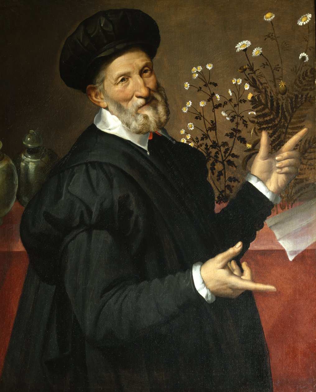 Botanik, 1570 od Bartolomeo Passarotti