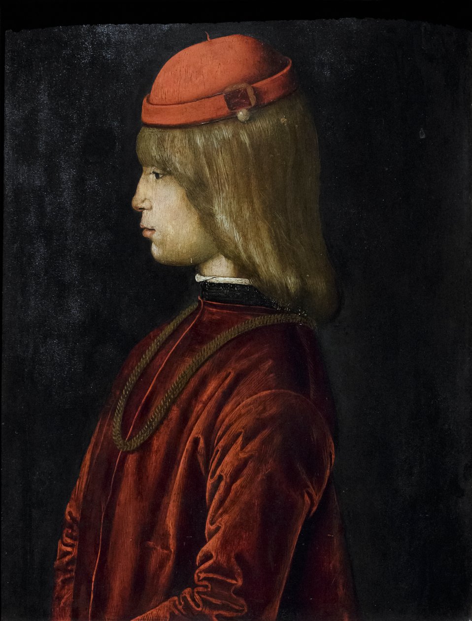 Portrét Guidubalda da Montefeltro, asi 1480-81 (olej na desce) od Bartolomeo (attr. to) Della Gatta