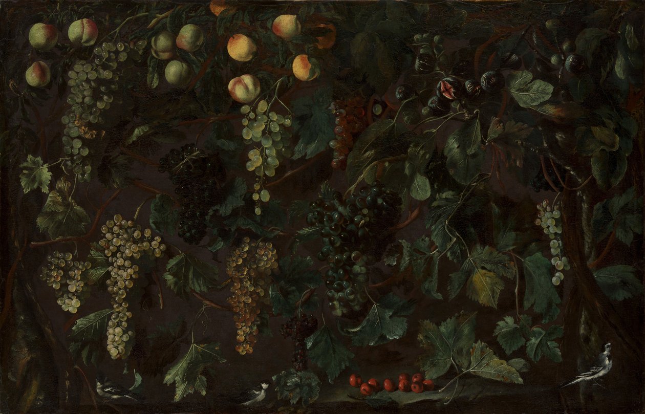 Vinná réva a ovoce, se třemi konipasy, ca. 1615-18. od Bartolomeo Cavarozzi