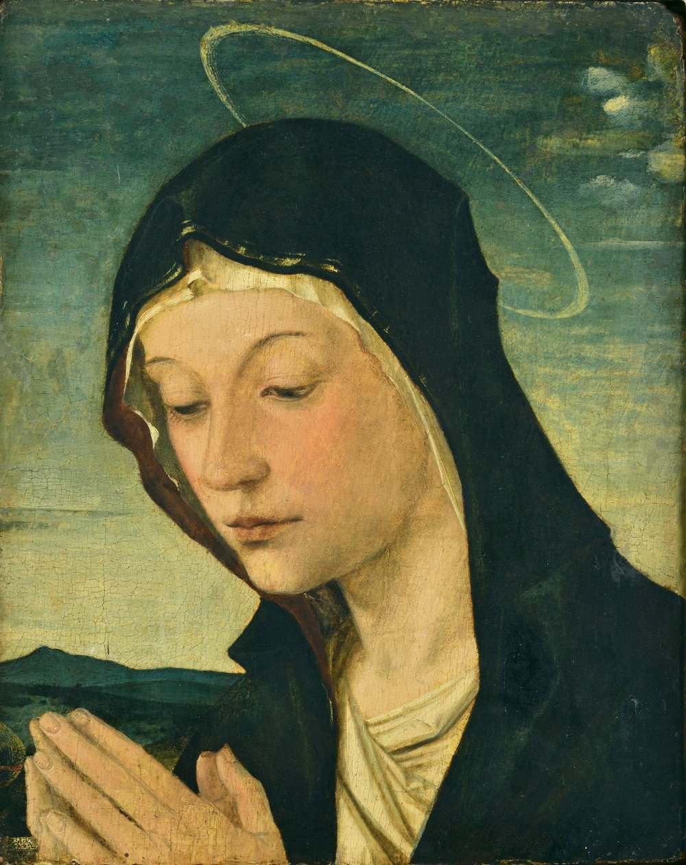 Hlava a ruce klanící se Madony (fragment), asi 1477-78 (tempera na topolovém dřevě) od Bartolomeo Montagna