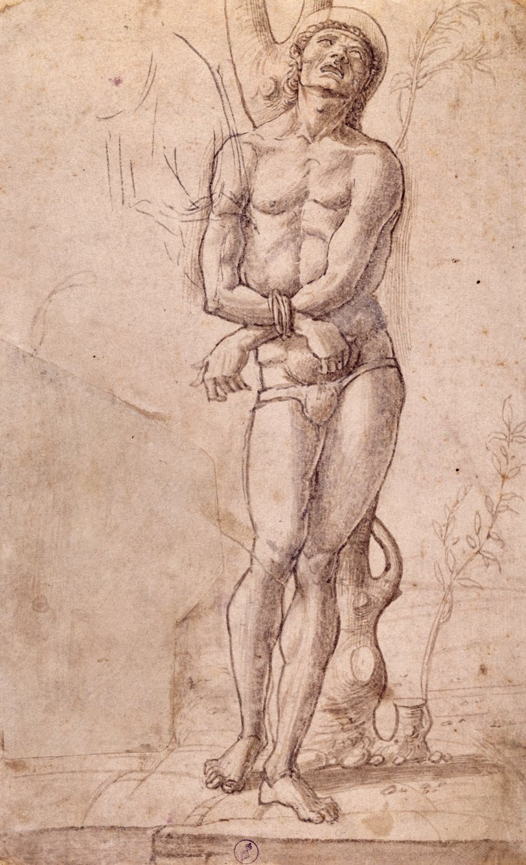 Svatý Šebestián, cca 1475, kresba Bartolomeo Montagna (cca 1450-1523), pero a hnědá tuš, s hnědým praním, cm 20x15, Itálie od Bartolomeo Montagna