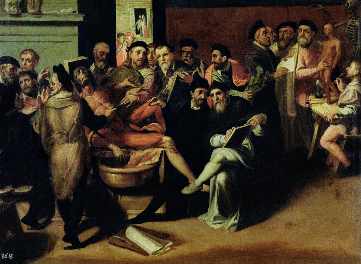 Lekce anatomie pro umělce od Bartolomeo Passarotti