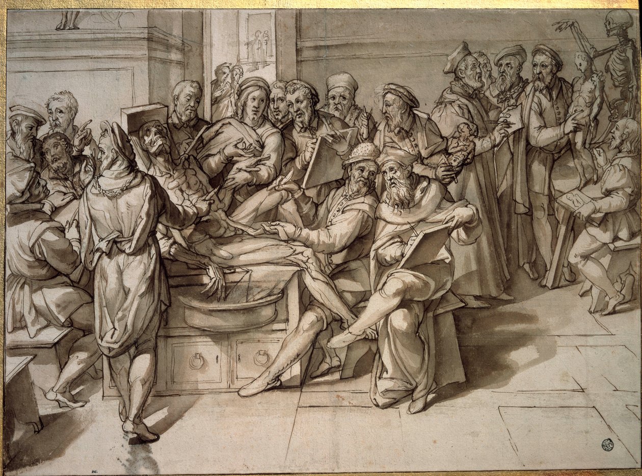 Přednáška z anatomie Michelangela Buonarroti dit Michelangelo (Michelangelo nebo Michel Ange od Bartolomeo Passarotti