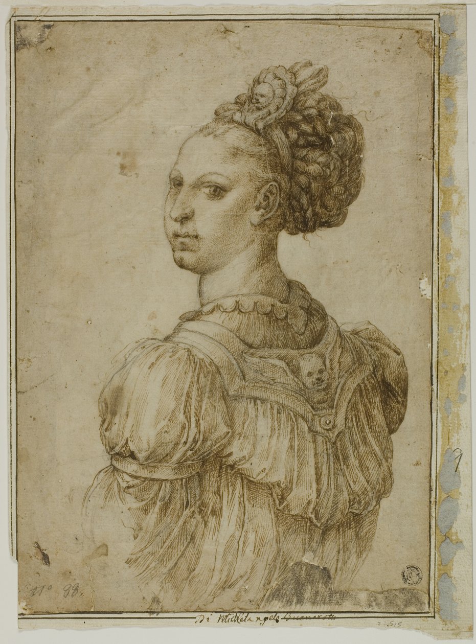 Ideální poprsí ženy od Bartolomeo Passarotti