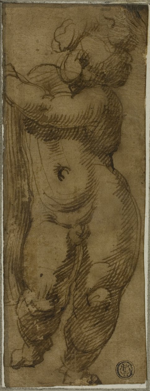 Stojící Putto při pohledu zepředu: Studium pro Pannu ve slávě se svatými Petroniem, Dominikem a Petrem mučedníkem od Bartolomeo Passarotti