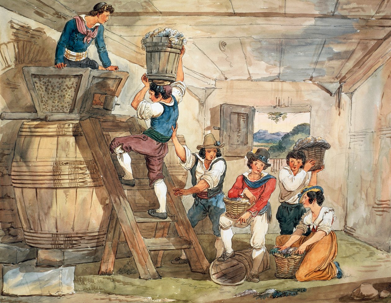 Kombajny přinášející hrozny k lisování od Bartolomeo Pinelli