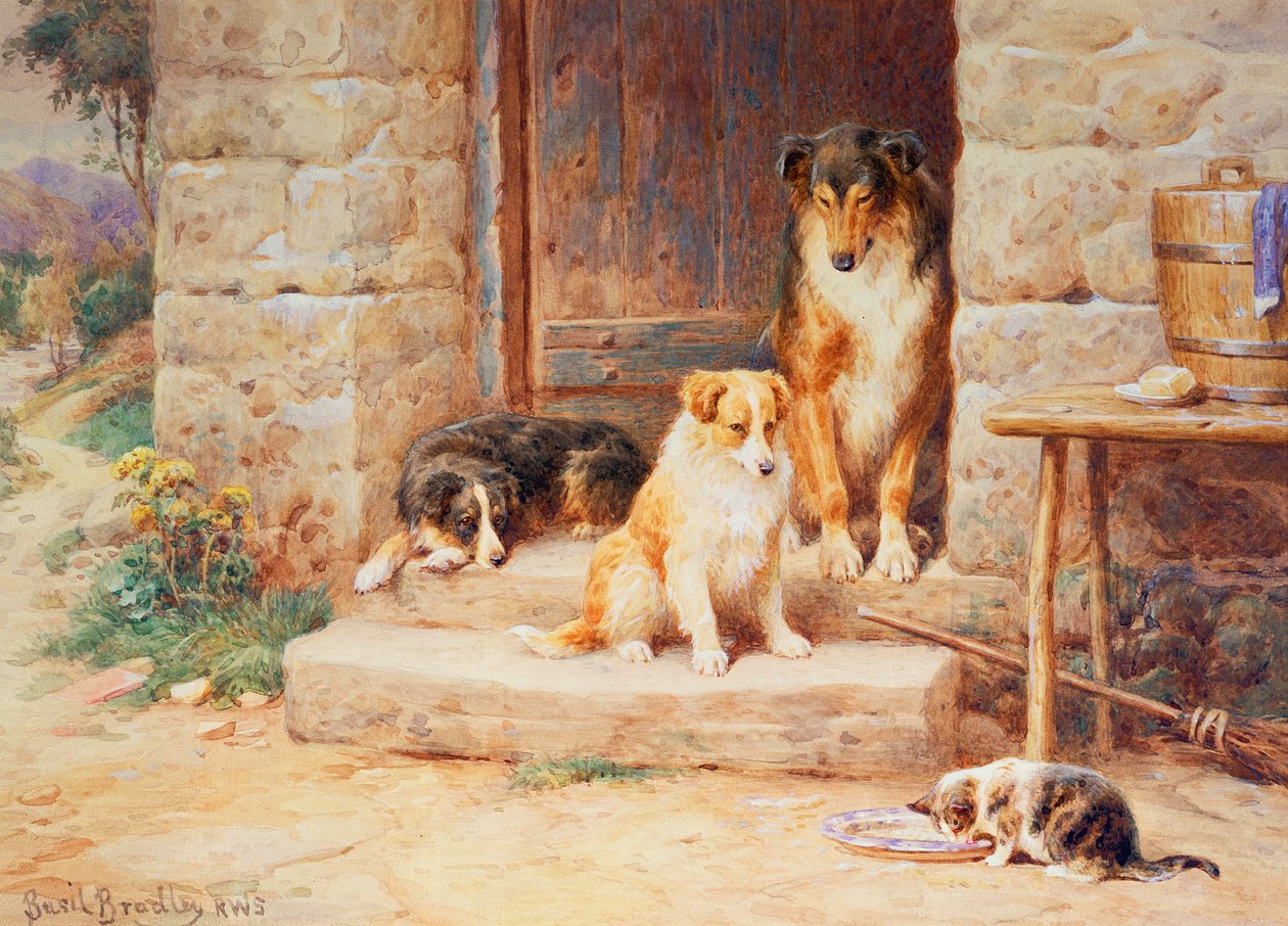 Žít a nechat žít od Basil Bradley