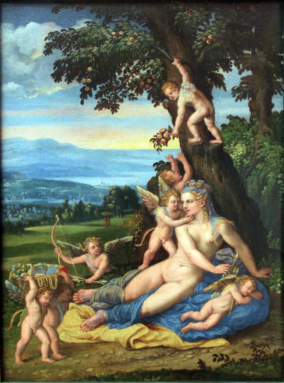 Venuše a Amor od Battista Dossi