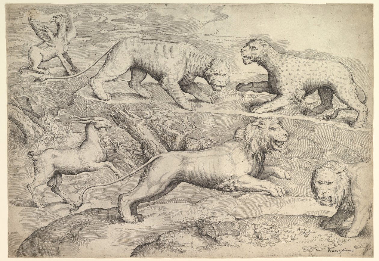 Šest zvířat, včetně lvů, tygra, leoparda, griffina a kozy, ca. 1530-61. od Battista Franco Veneziano