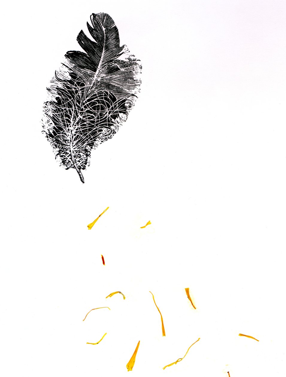 Feather {Fay-erie Dust}, 2014 (dřevorytina a fragmenty rostlin na papíře) od Bella Larsson